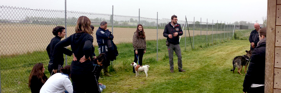 paolo mongillo during a university lecture on dogs' behaviour